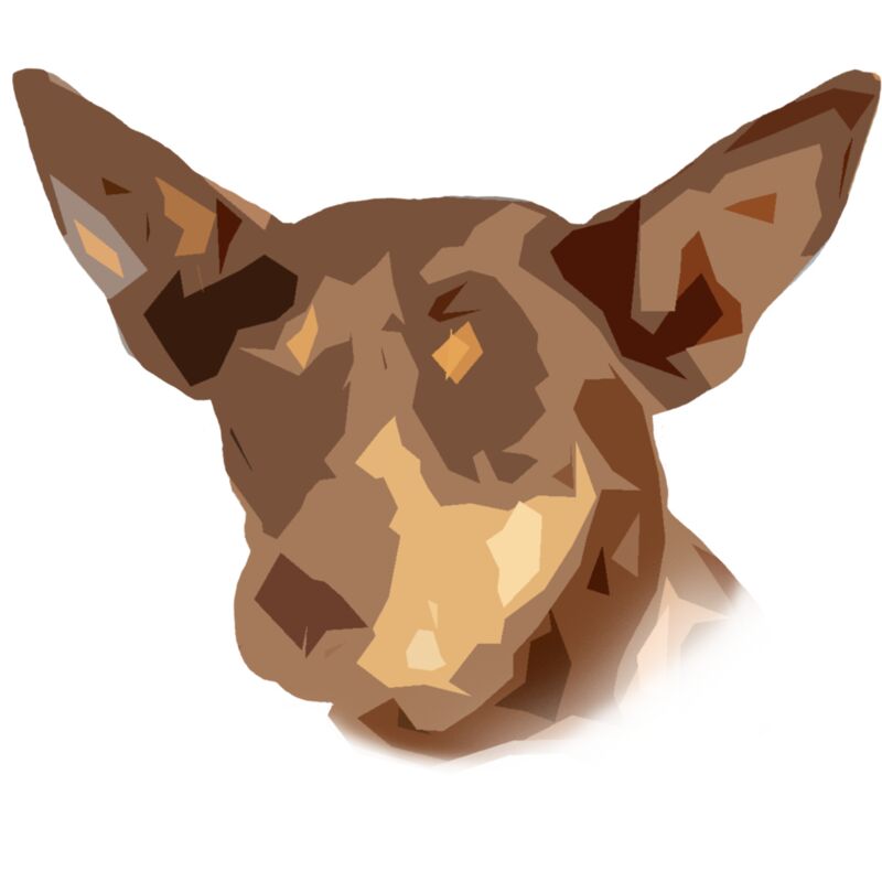 Red and Tan Kelpie Graphic Thumbnail