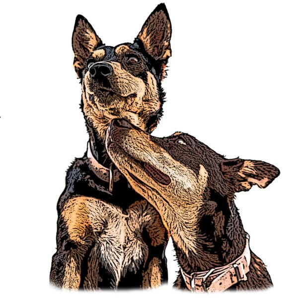 Korra and Magic Thumbnail